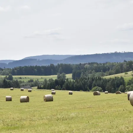 Holiday Villa Ruprechtice فيلة