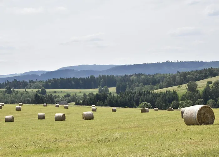 Holiday Villa Ruprechtice Villa